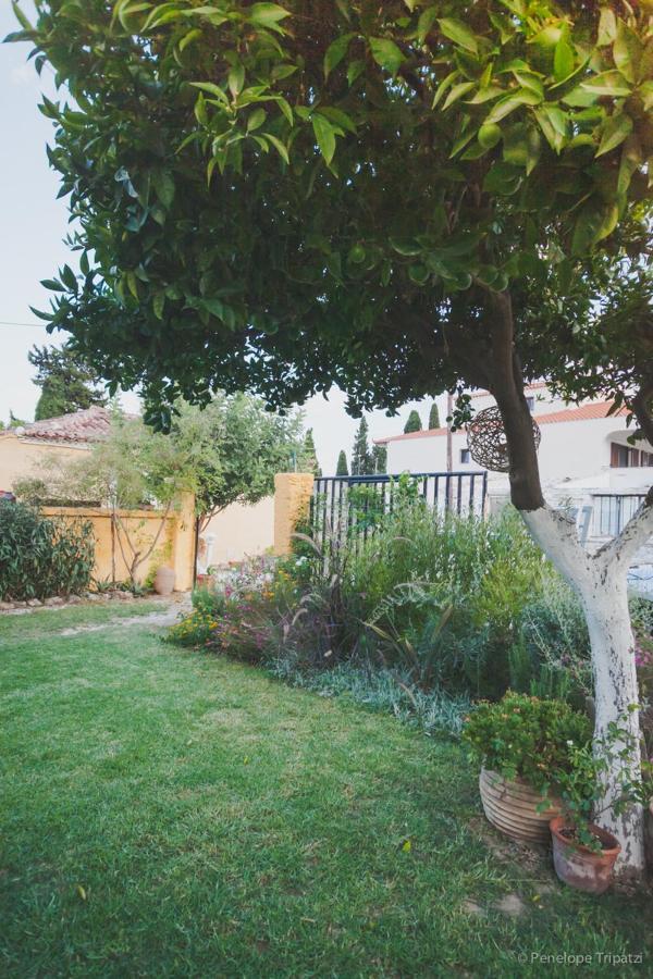 Zacharoulas Katikies Amarynthos Esterno foto